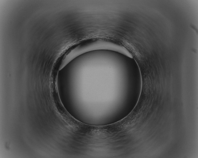 X0000091720680200709071436