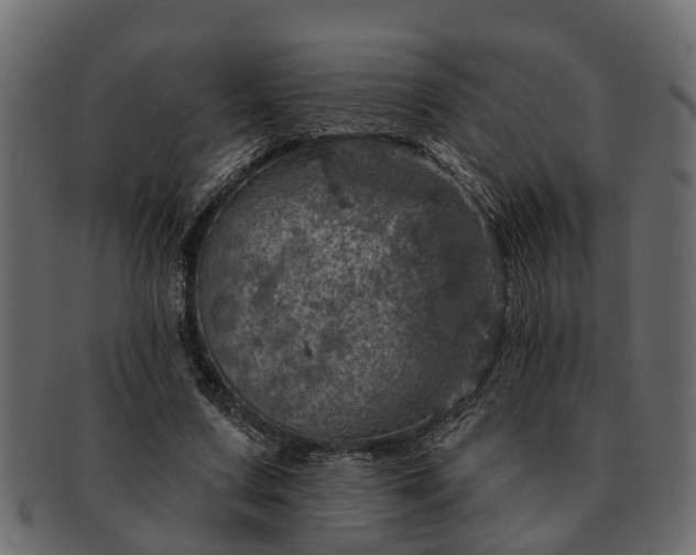 X0000091720683200709071436