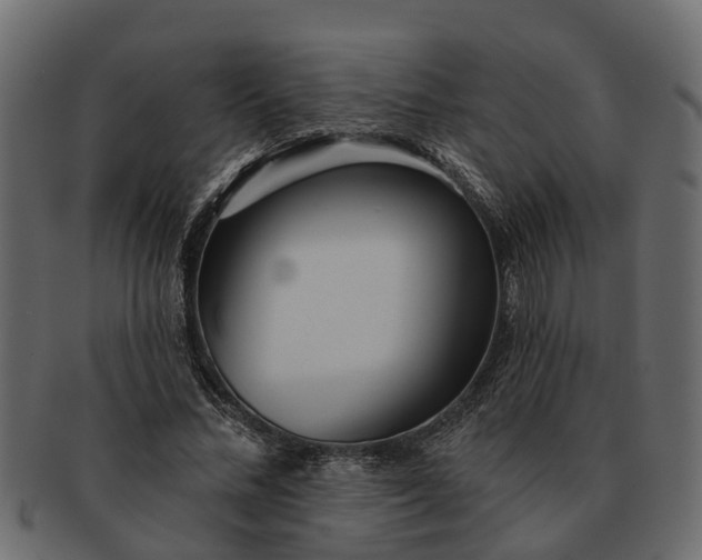 X0000091720684200709071436