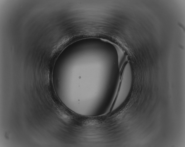 X0000091720685200709071436