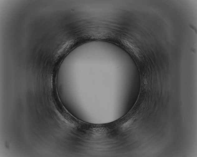 X0000091720686200709071436