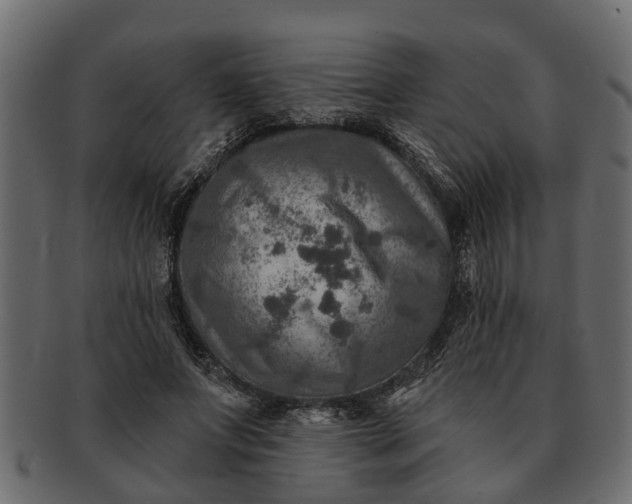 X0000091720687200709071436