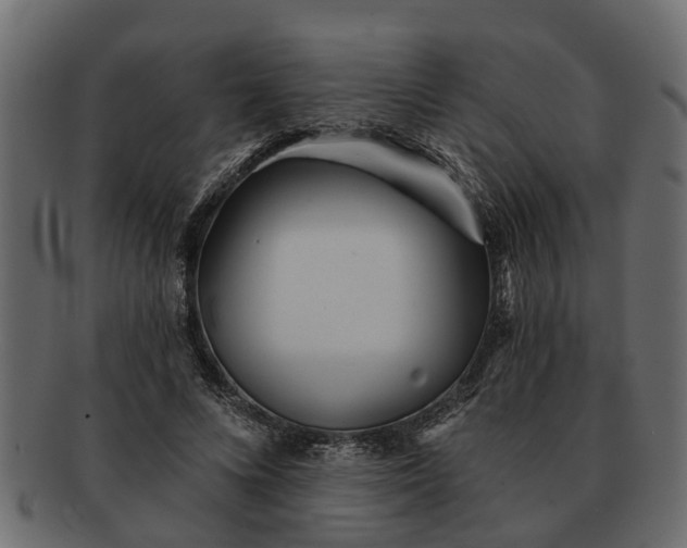 X0000091720688200709071436