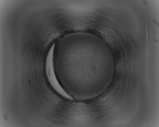 X0000091720689200709071436