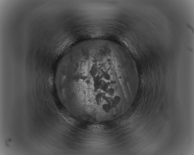 X0000091720691200709071436