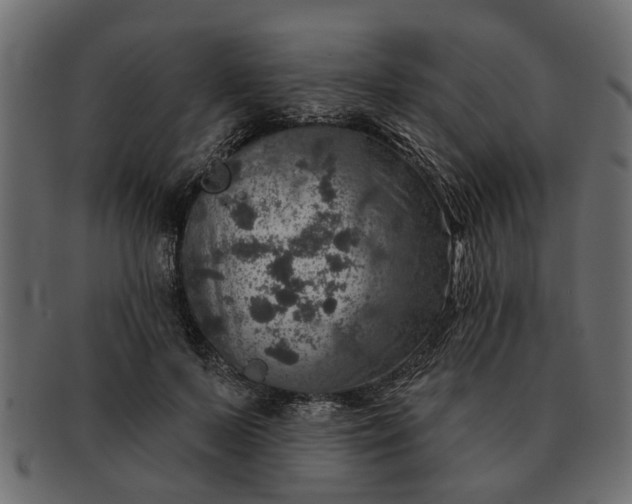 X0000091720695200709071436