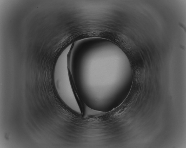 X0000091720697200709071436