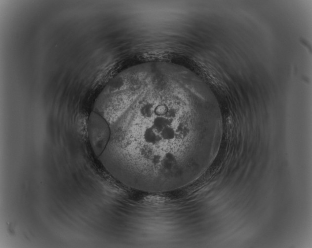 X0000091720699200709071436