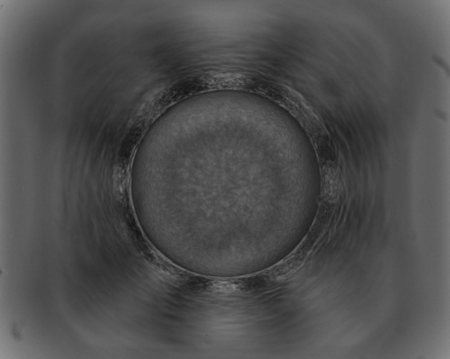 X0000091720701200709071436