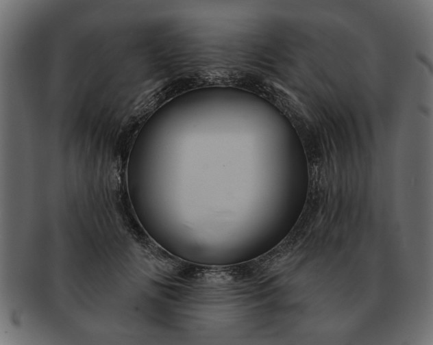 X0000091720702200709071436