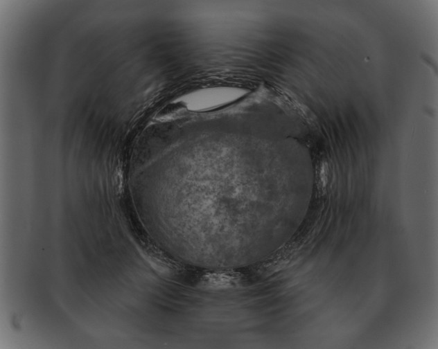 X0000091720703200709071436