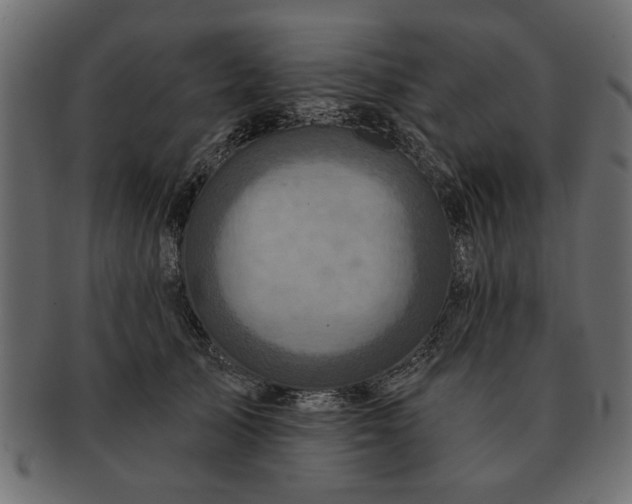 X0000091720705200709071436