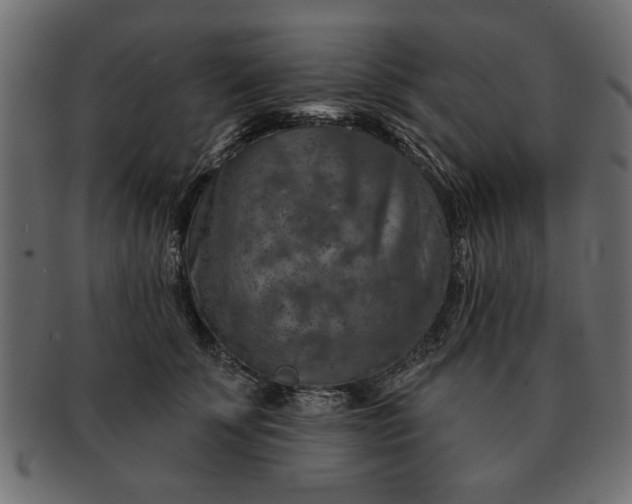 X0000091720707200709071436