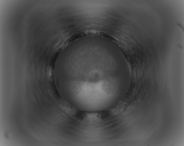 X0000091720709200709071436