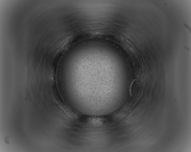 X0000091720710200709071436