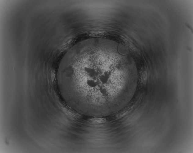 X0000091720711200709071436