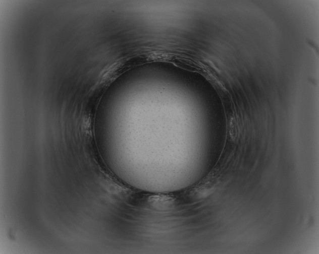 X0000091720714200709071436