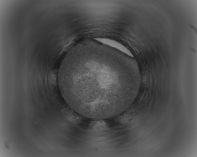 X0000091720715200709071436