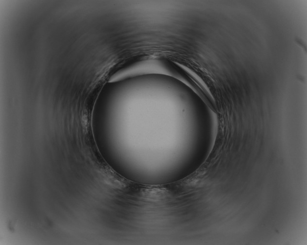 X0000091720716200709071436