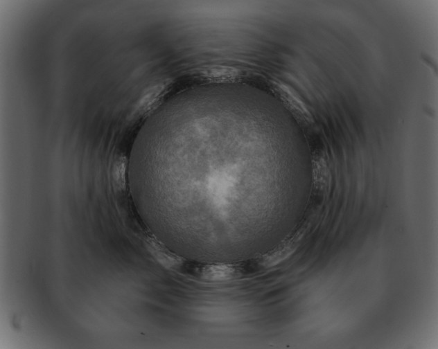 X0000091720717200709071436