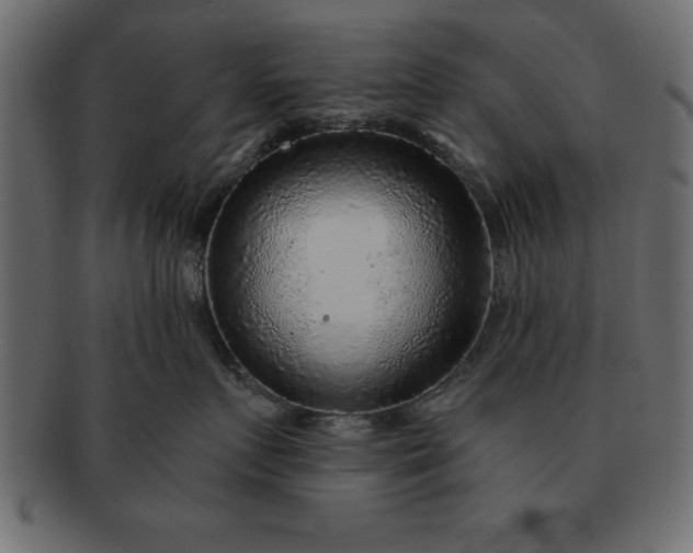 X0000091720719200709071436