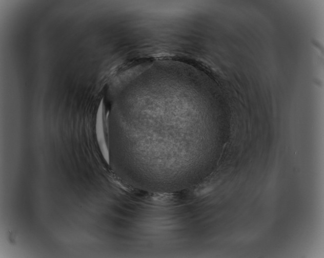 X0000091720720200709071436