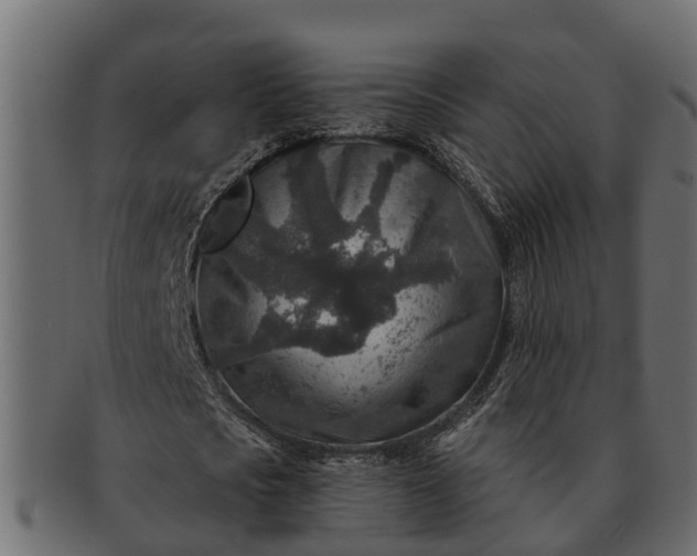 X0000091720721200709071435