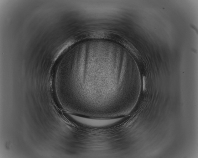 X0000091720723200709071435