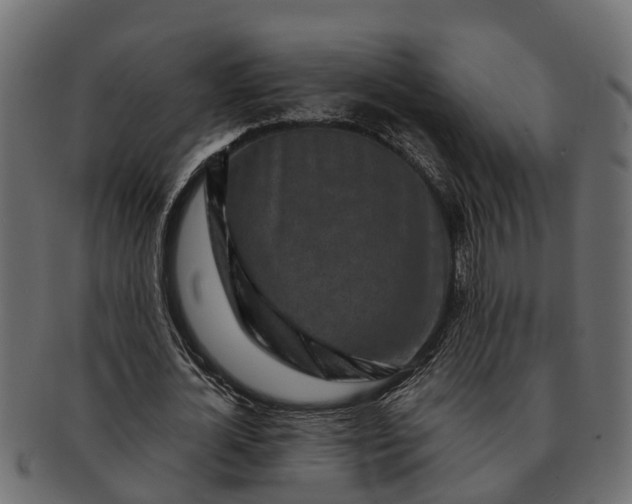 X0000091720724200709071435