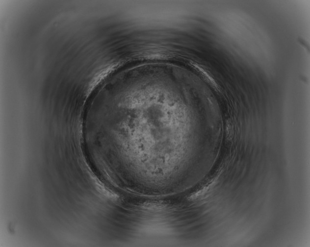 X0000091720725200709071435