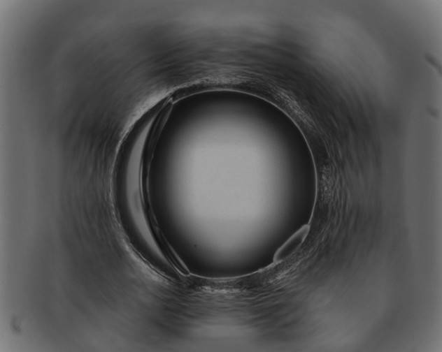 X0000091720726200709071435