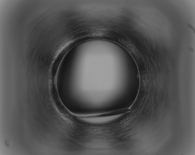 X0000091720728200709071435