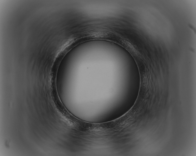 X0000091720730200709071435