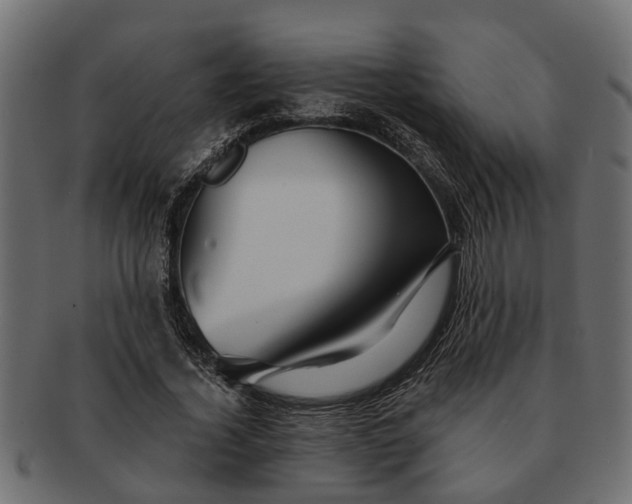 X0000091720732200709071435