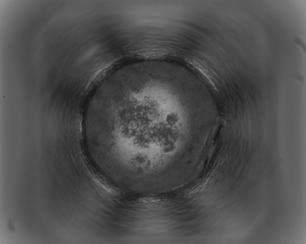 X0000091720733200709071435