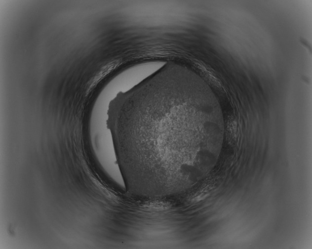 X0000091720734200709071435