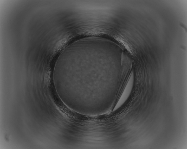 X0000091720736200709071435