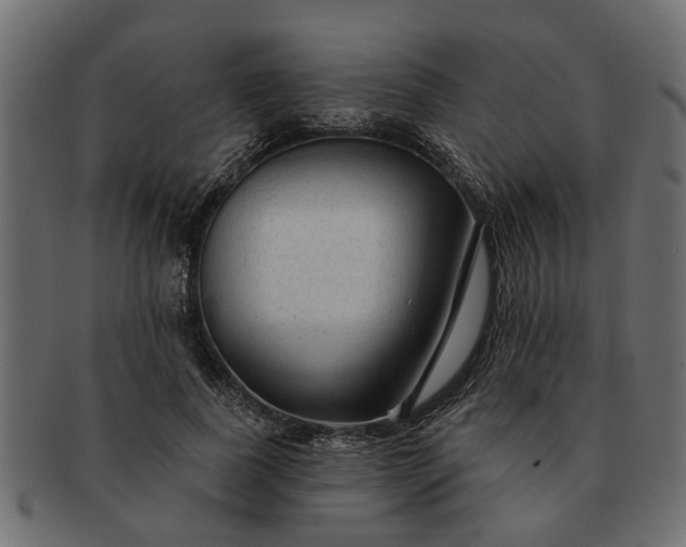 X0000091720739200709071435