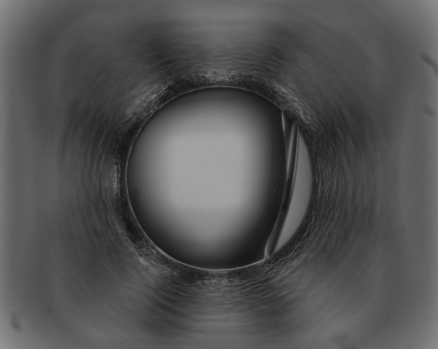 X0000091720740200709071435