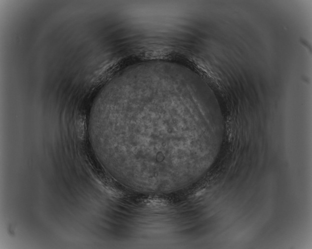 X0000091720741200709071435