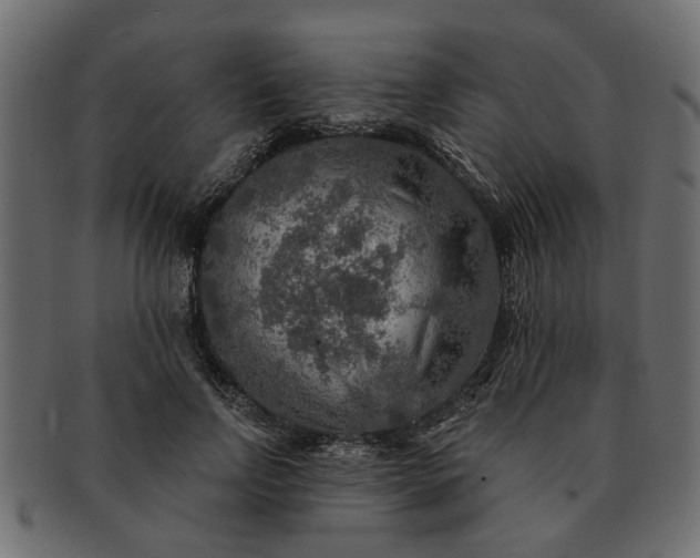 X0000091720742200709071435