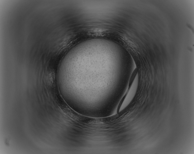 X0000091720747200709071435