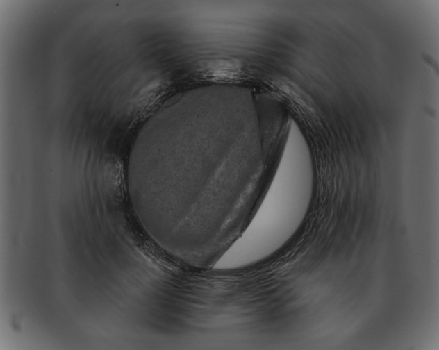 X0000091720748200709071435