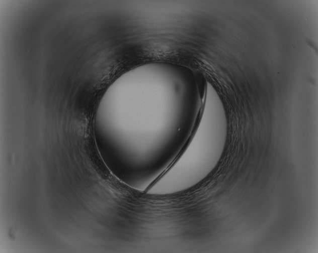 X0000091720750200709071435