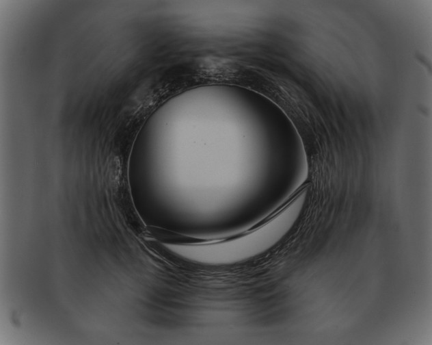 X0000091720752200709071435