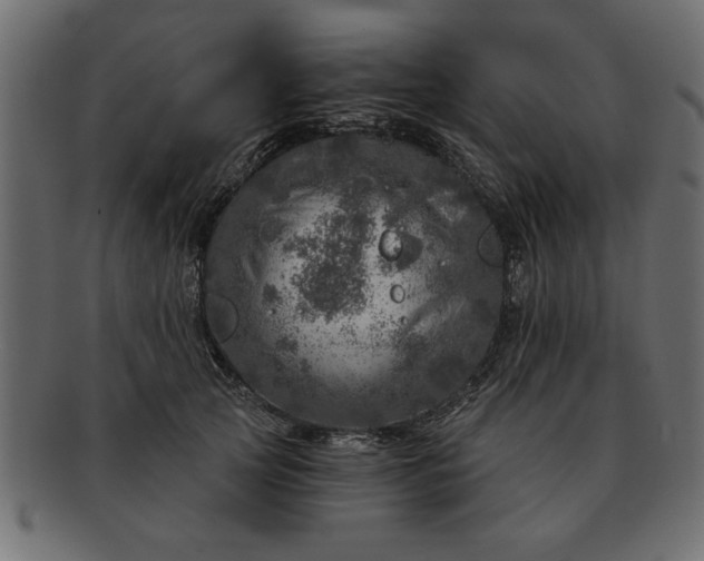 X0000091720753200709071435