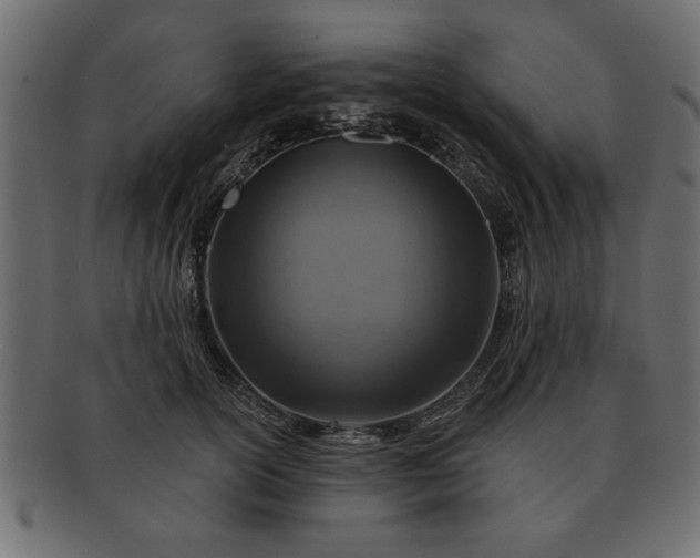 X0000091720754200709071435