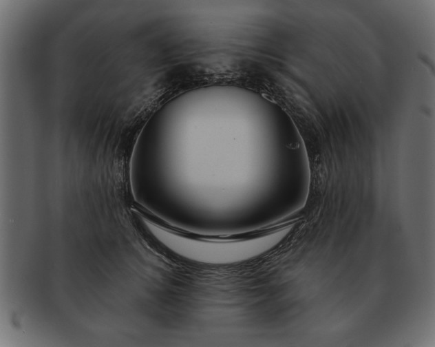 X0000091720756200709071436