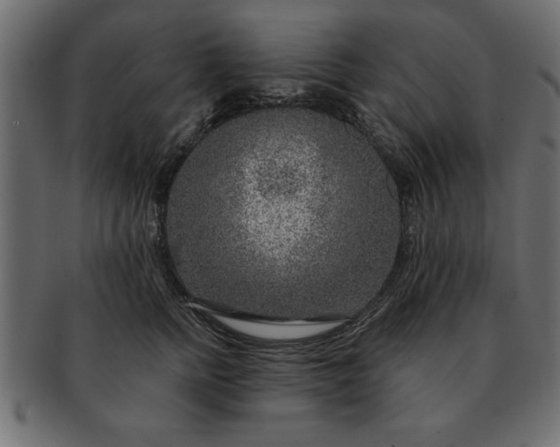 X0000091720758200709071436