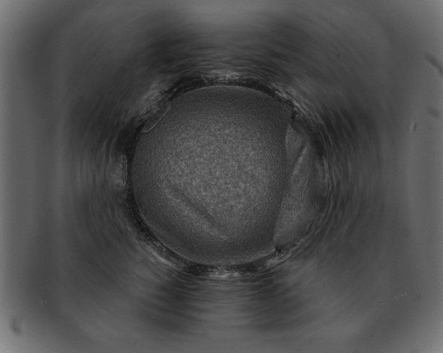 X0000091720760200709071436